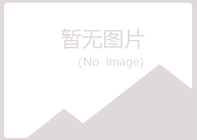 青海女孩会计有限公司